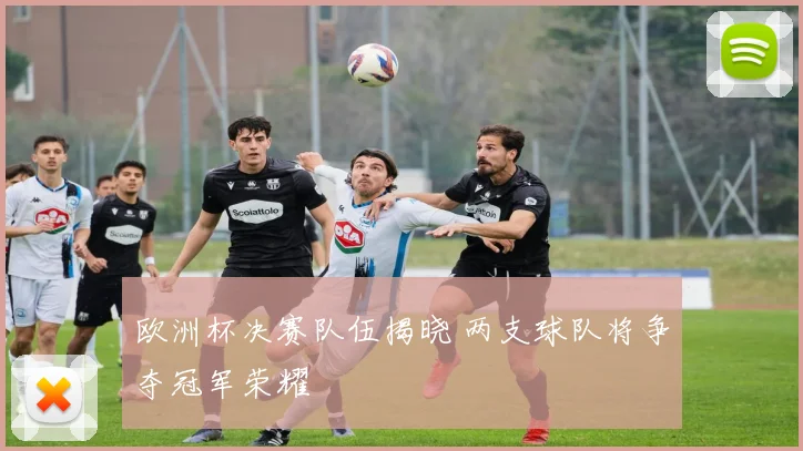 欧洲杯决赛队伍揭晓 两支球队将争夺冠军荣耀